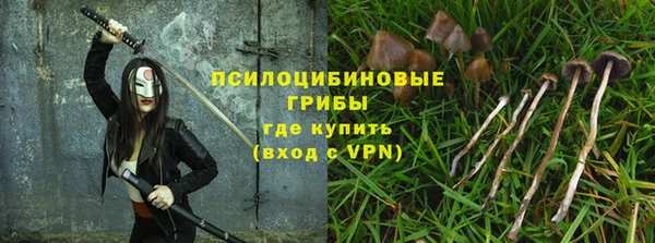 амф Алзамай