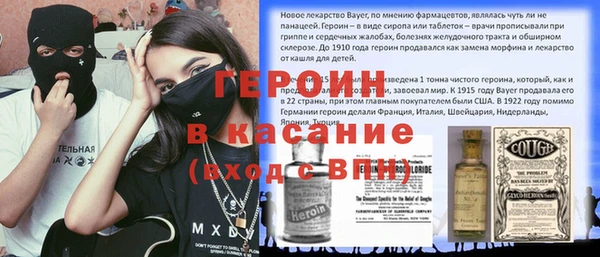 индика Елизово