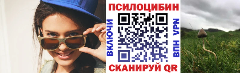 Галлюциногенные грибы Psilocybe  Анжеро-Судженск 